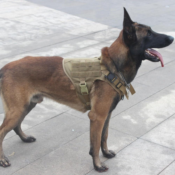 VIP  K9 Field Armor