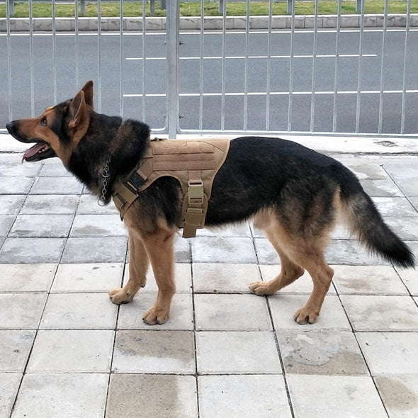 VIP  K9 Field Armor