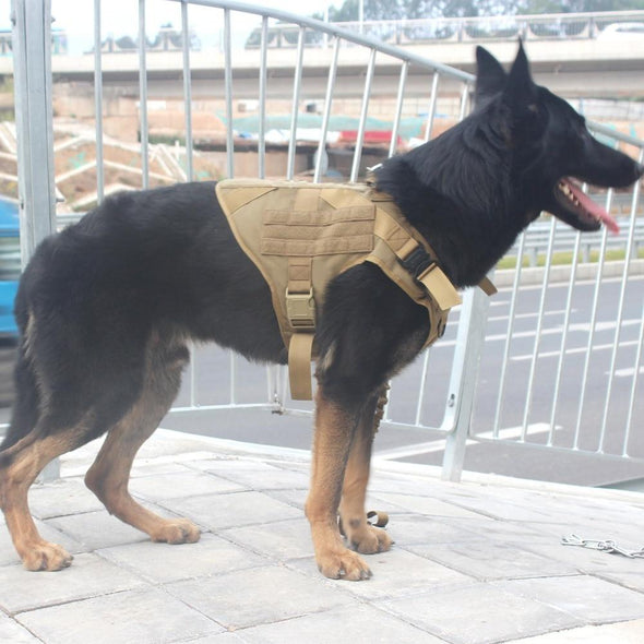 VIP  K9 Field Armor